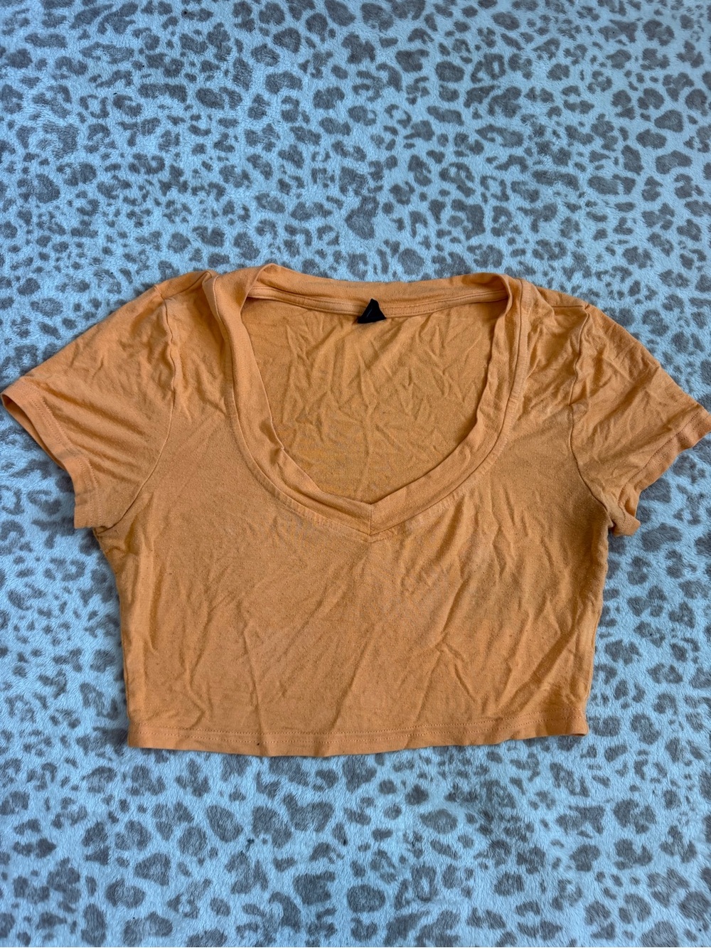 Deep V-Neck Cropped Tee